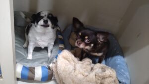 夜のお時間　2025/10/28