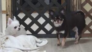 午前のお時間　2025/10/29