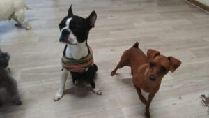 夜のお時間　2025/10/29