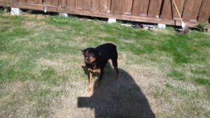 午前のお時間　2025/10/30