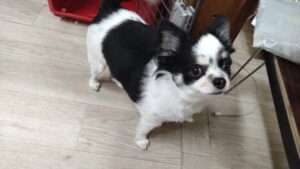 夜のお時間　2025/10/30