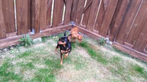 朝のお時間　2025/10/31