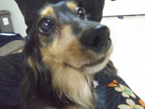 夜のお時間 2025/10/31