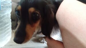 朝のお時間 2025/11/1