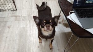 夜のお時間　2025/11/1