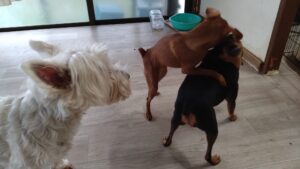 午前のお時間　2025/11/2