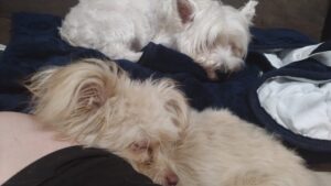 夜のお時間　2025/11/2