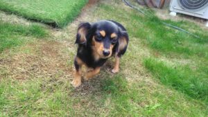 朝のお時間　2025/11/3