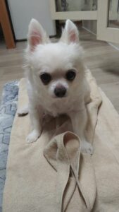 夜のお時間　2025/11/3