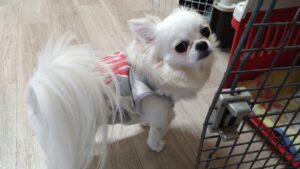 午前のお時間　2025/11/4