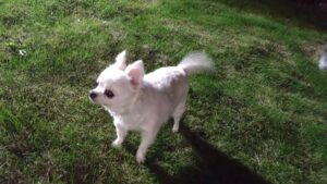 夜のお時間　2025/11/4