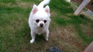 朝のお時間　2025/11/5