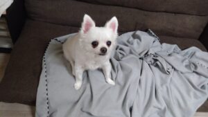 夜のお時間　2025/11/5