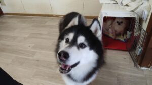 午前のお時間　2025/11/6