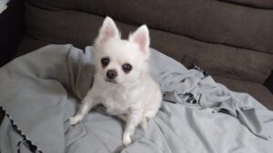 夜のお時間　2025/11/6