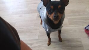 午前のお時間　2025/11/7