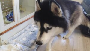 午前のお時間　2025/11/8