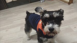 夜のお時間　2025/11/8