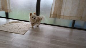 午前のお時間　2025/11/9