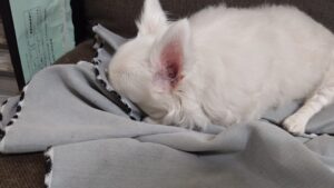 夜のお時間　2025/11/9