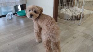 午前のお時間　2025/11/10