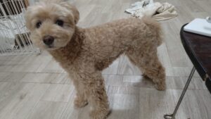 夜のお時間　2025/11/10