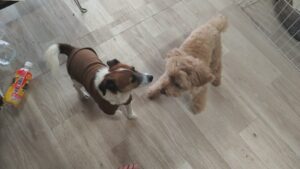 朝のお時間　2025/11/11