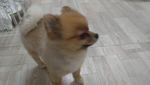 夜のお時間　2025/11/11