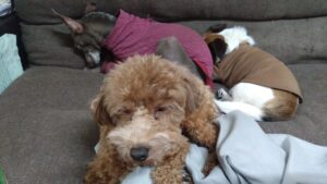 夜のお時間　2025/11/12