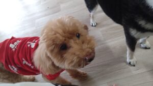 午前のお時間　2025/11/13