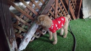 夜のお時間　2025/11/13