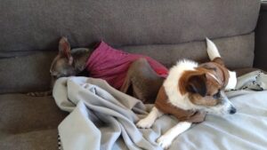 朝のお時間　2025/11/14