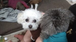 夜のお時間　2025/11/14