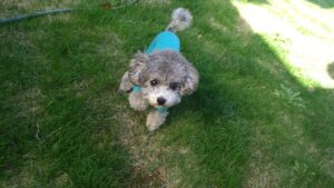 朝のお時間　2025/11/15