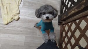 夜のお時間　2025/11/15