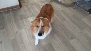 午前のお時間　2025/11/16