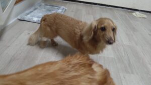 夜のお時間　2025/11/16