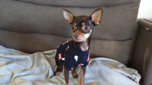 午前のお時間　2025/11/17