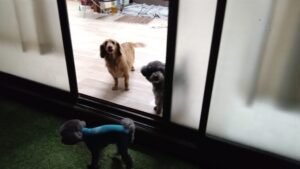 夜のお時間　2025/11/17