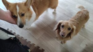 午前のお時間　2025/11/18