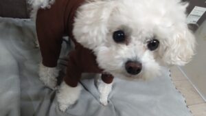 夜のお時間　2025/11/18