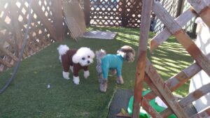 朝のお時間　2025/11/19