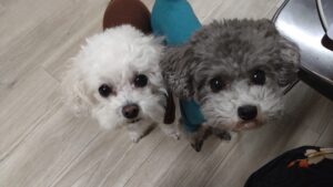 夜のお時間　2025/11/19