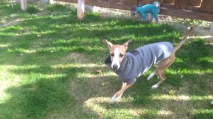 午前のお時間　2025/11/20