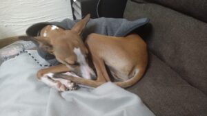 夜のお時間　2025/11/20