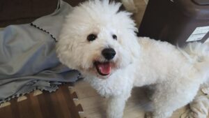 午前のお時間　2025/11/21