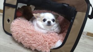 夜のお時間　2025/11/21