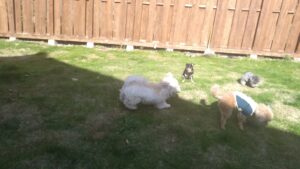 午前のお時間　2025/11/22