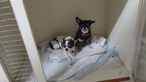 夜のお時間　2025/11/22