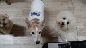 夜のお時間　2025/11/23